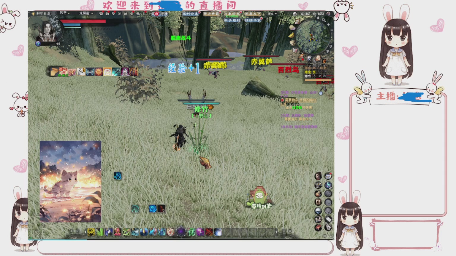 卿梦安心的直播间