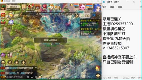 接九转蜃境托管~