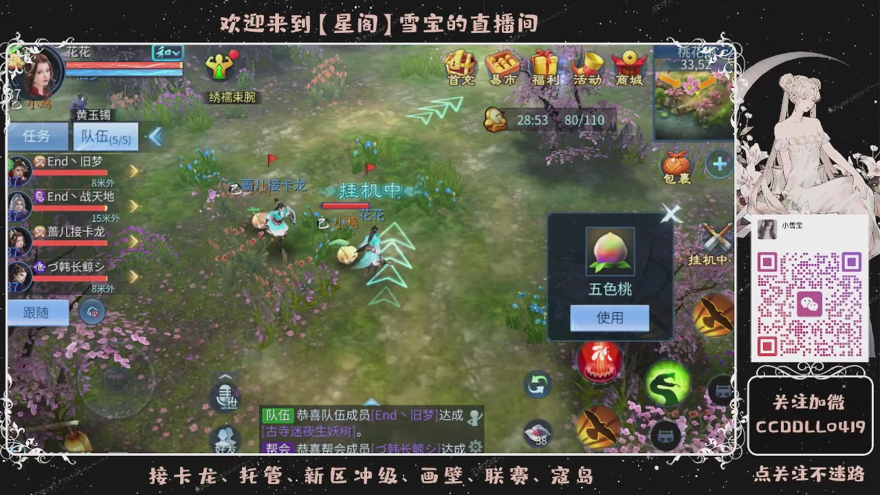 接新区冲级、托管、卡龙