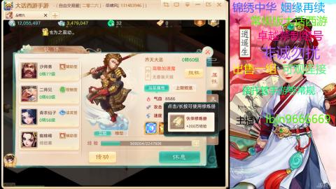 手游新服二零二六