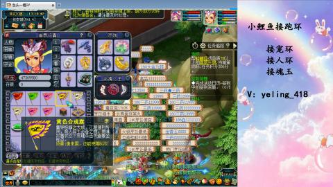 接命魂之玉 人环 宠环