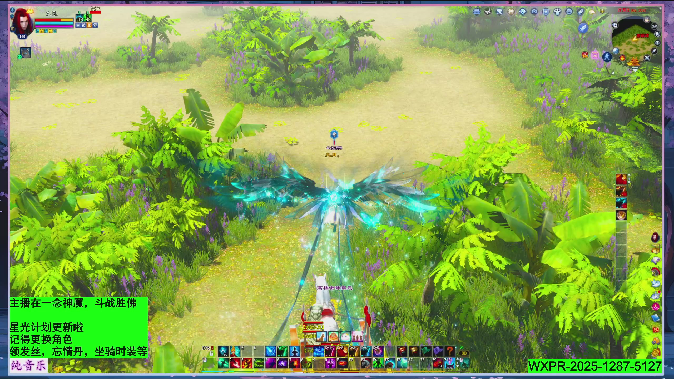 星光绑我 快来快来