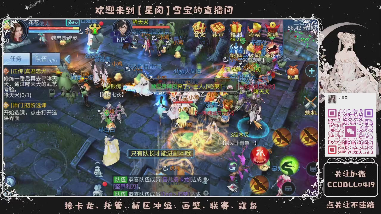 接新区冲级、托管、卡龙