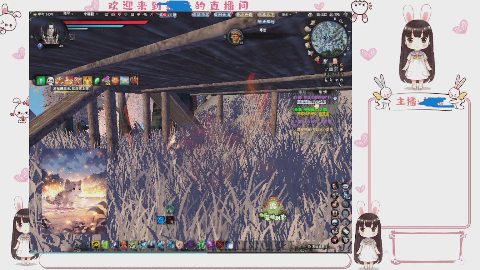 卿梦安心的直播间