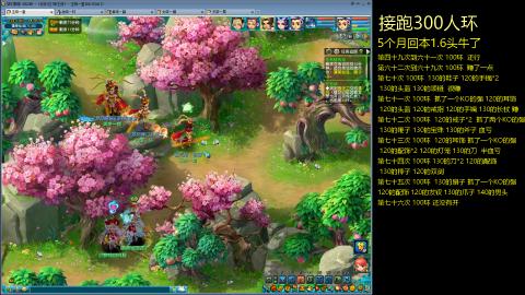 135飞升跑环平民的选择