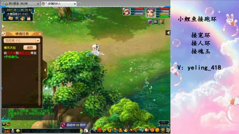 接命魂之玉 人环 宠环