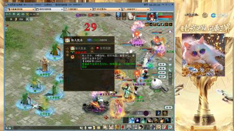 毒十女人欢迎踢馆