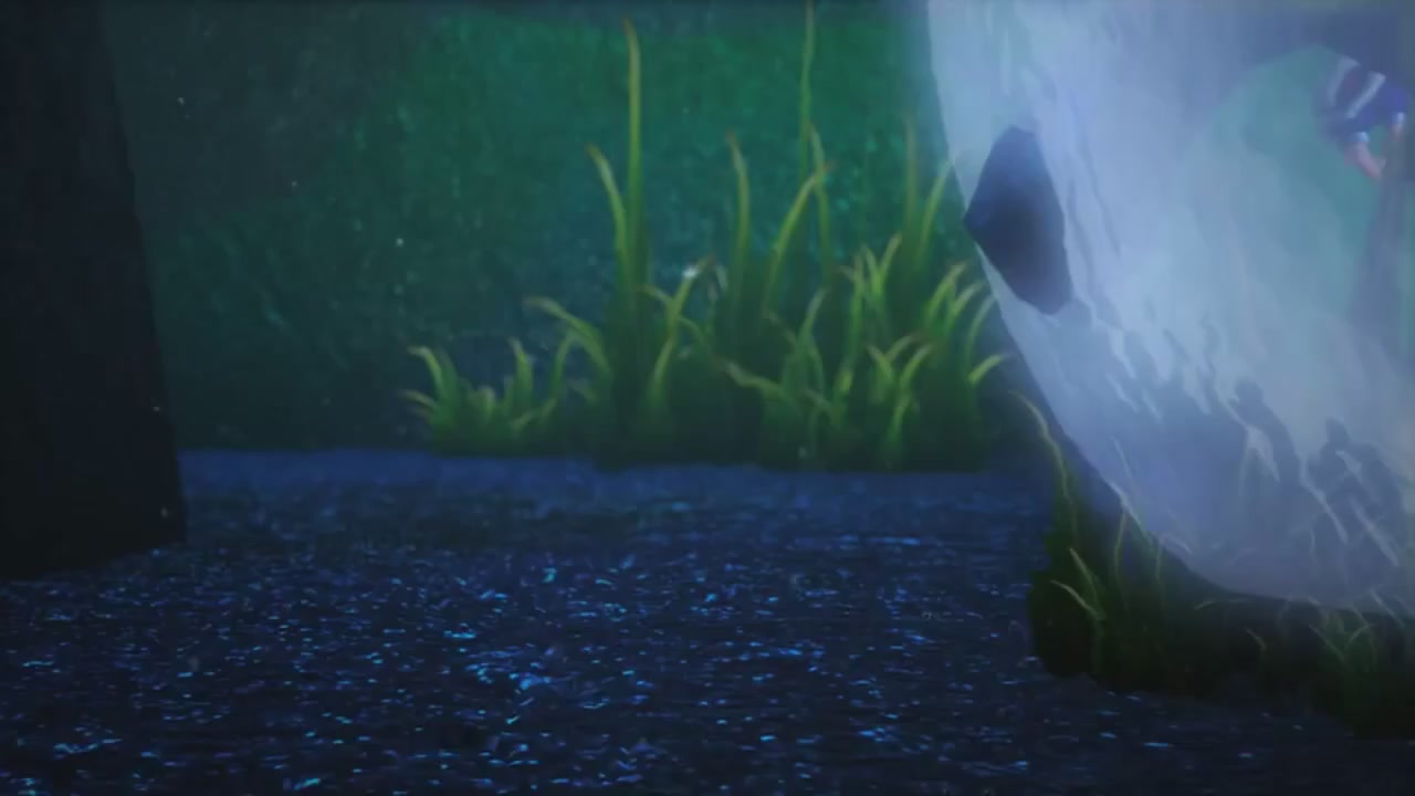 梦幻西游动画片第一季第5集