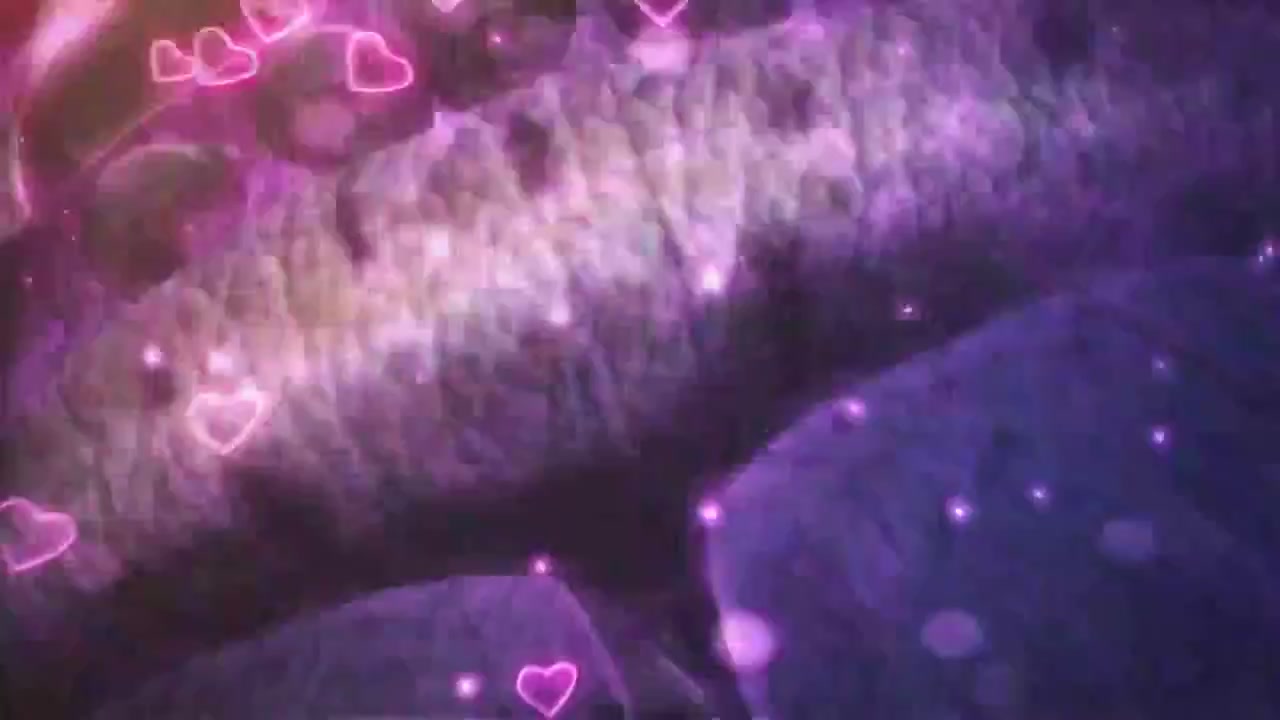 梦幻西游动画片第一季第6集