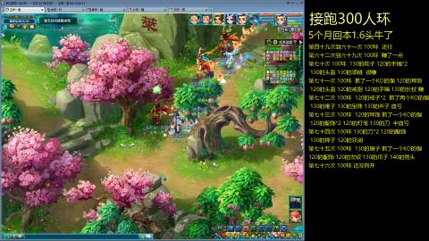 135飞升跑环平民的选择