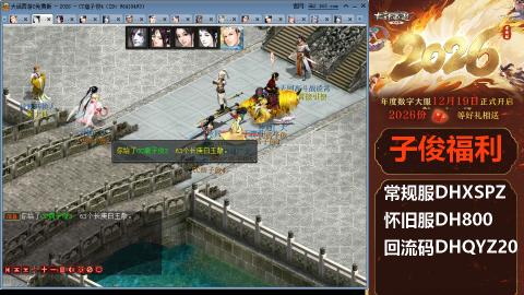 <2026>新手码：DHXSPZ