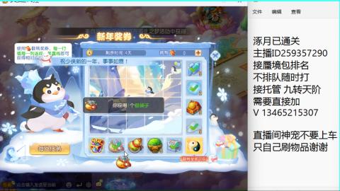 接九转蜃境托管~