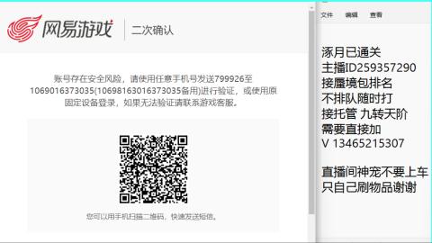 接九转蜃境托管~