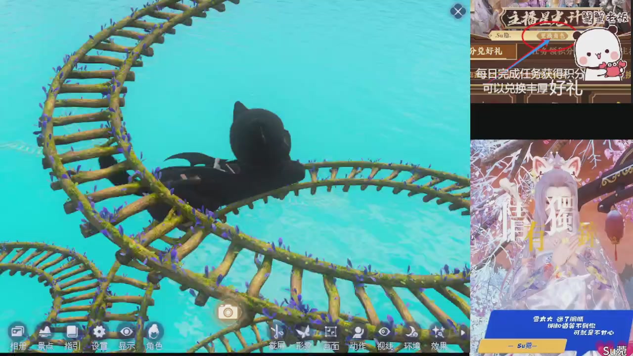 星光绑我 快来快来