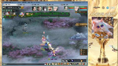 毒十女人欢迎踢馆