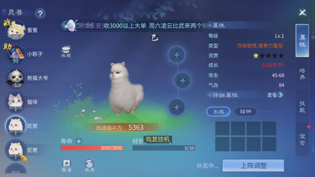 接托管打造指挥夺魂