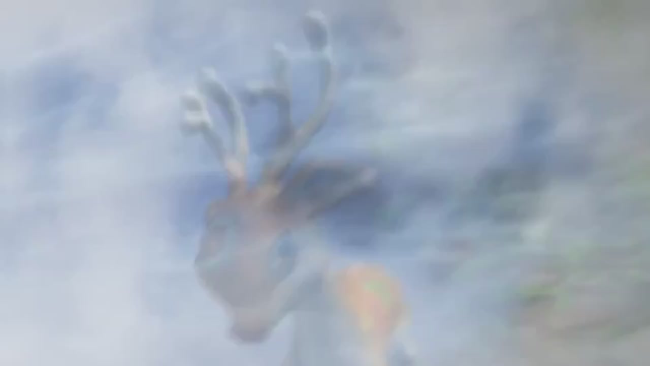 梦幻西游动画片第二季第2集