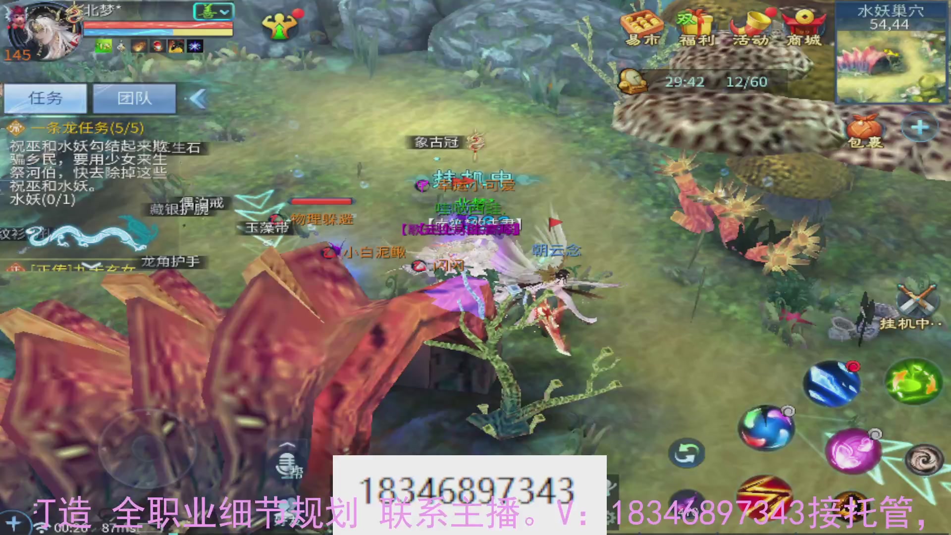 需要托管么？倩女最敬业主播