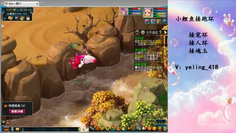 接命魂之玉 人环 宠环