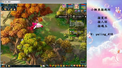 接命魂之玉 人环 宠环