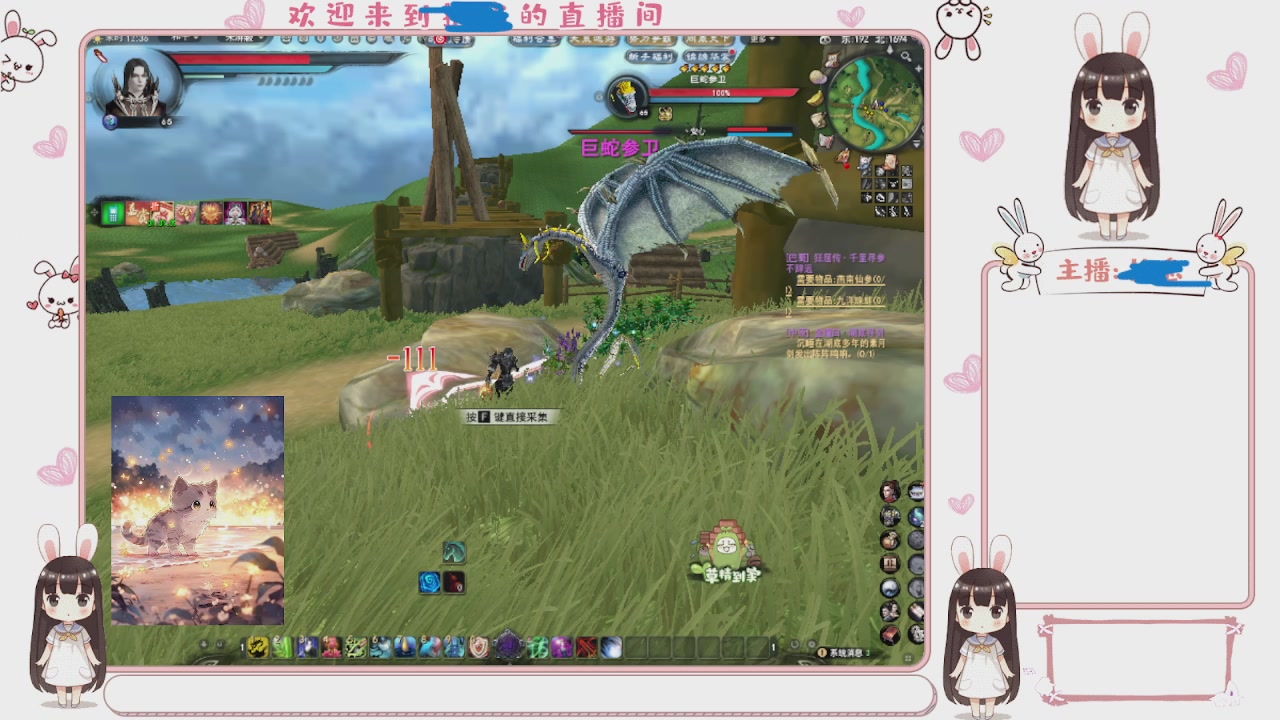 卿梦安心的直播间