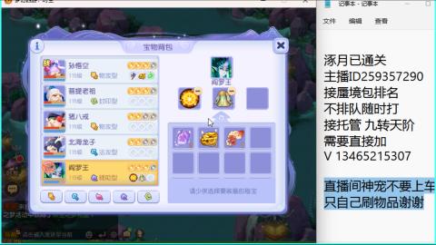 接九转蜃境托管~