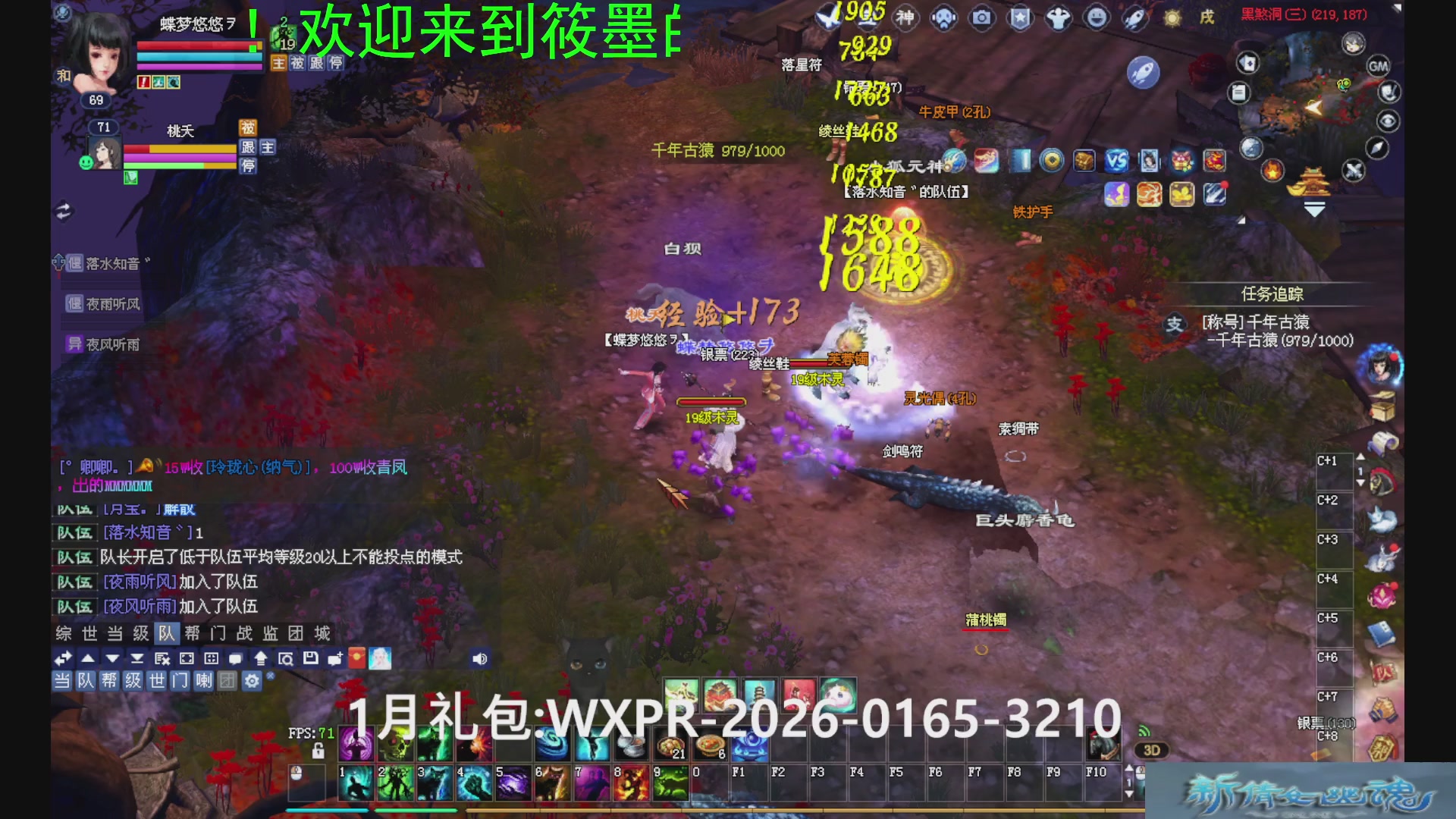 新倩女幽魂萌新探索中