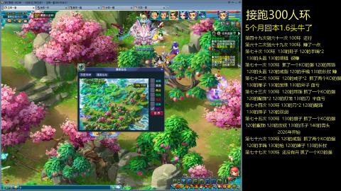 135飞升跑环平民的选择