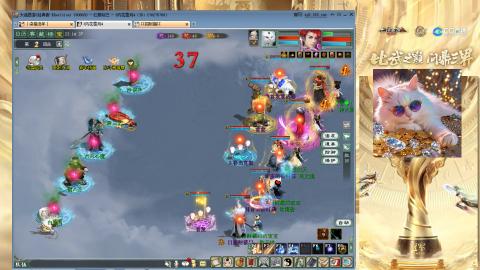 毒十女人欢迎踢馆