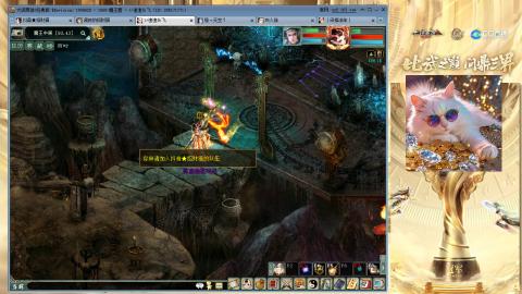 毒十女人欢迎踢馆