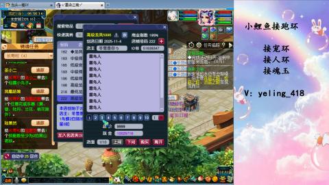 接命魂之玉 人环 宠环