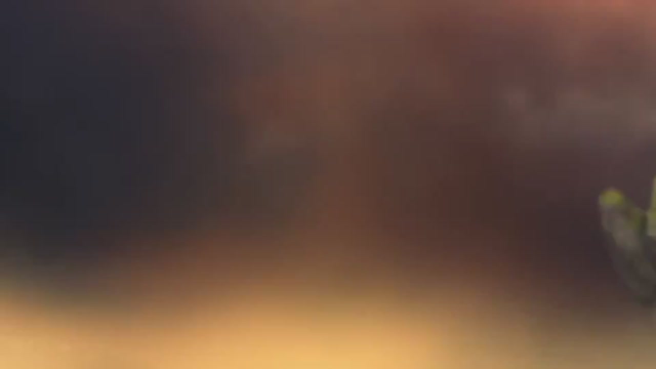 梦幻西游动画片第一季第3集