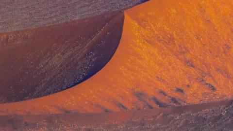 接九转蜃境托管~