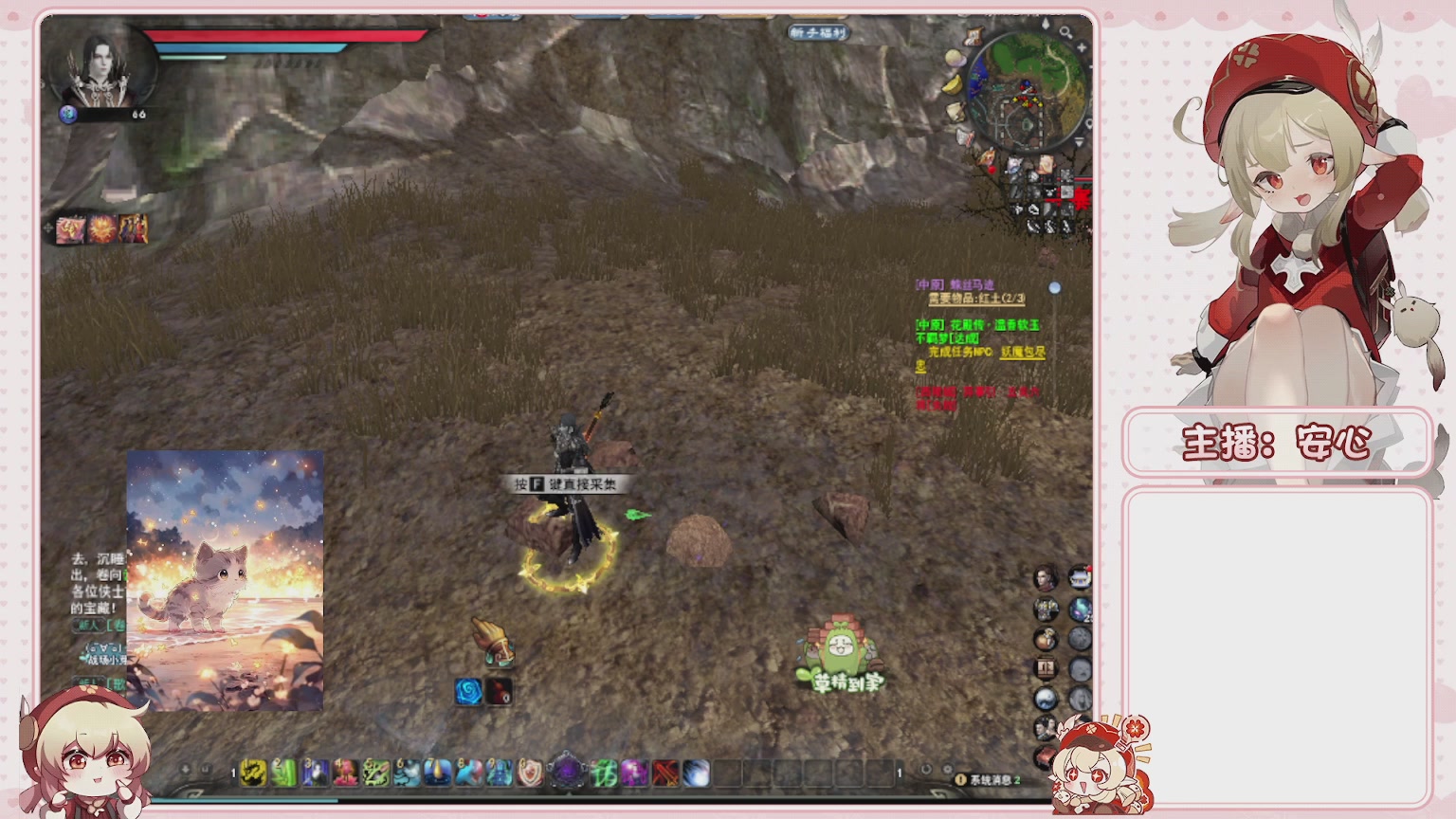 卿梦安心的直播间