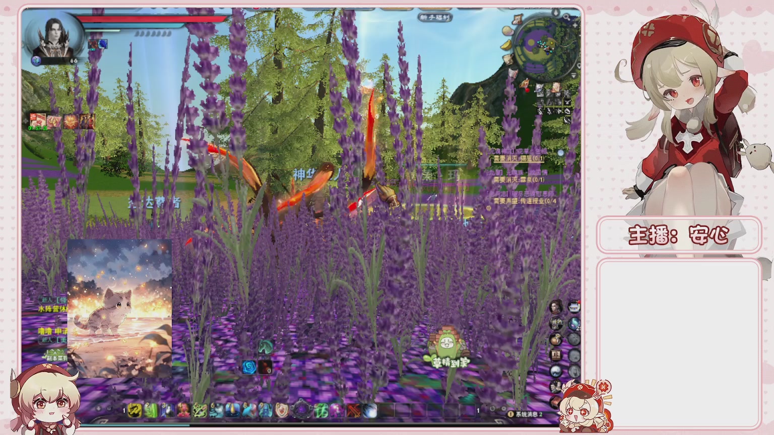 卿梦安心的直播间