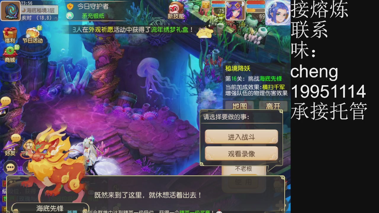 接熔练、6年熔练老玩家