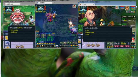 群星璀璨3组175日常