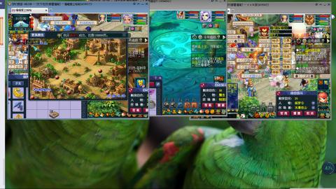 群星璀璨3组175日常