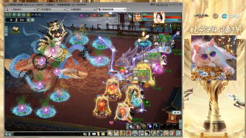 毒十女人欢迎踢馆