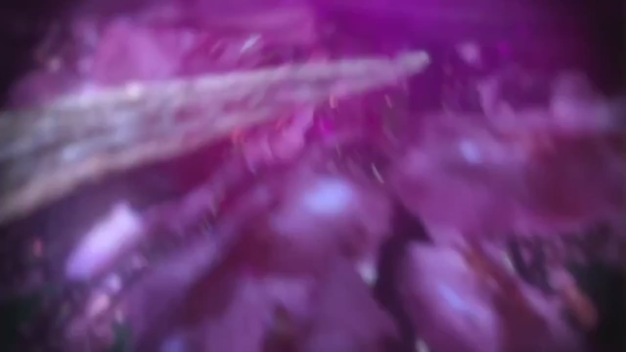 梦幻西游动画片第二季第9集