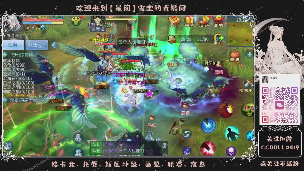 接新区冲级、托管、卡龙