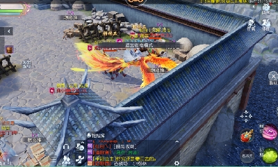 欢迎来看我的直播～