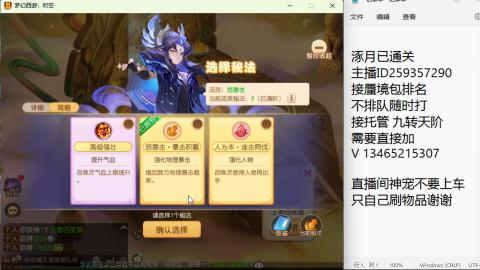 接九转蜃境托管~