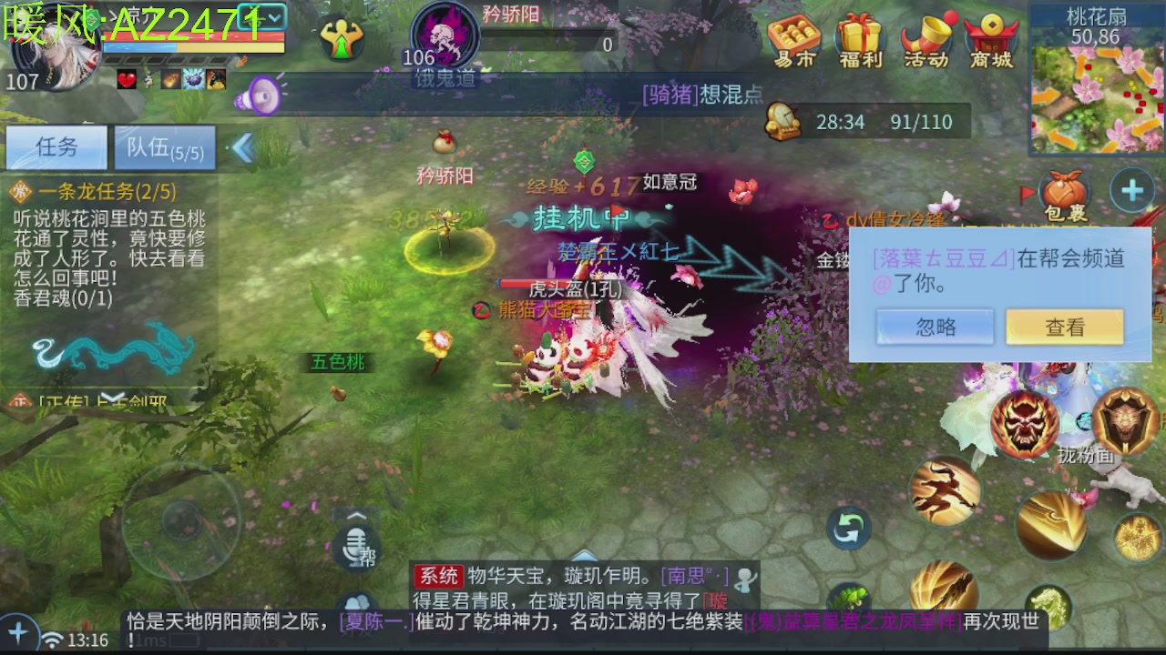 接托管，包强化，背饰打造