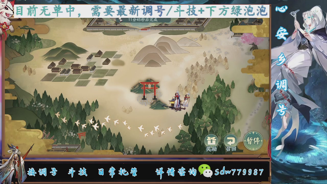 接调号|斗技|托管