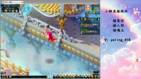 接命魂之玉 人环 宠环