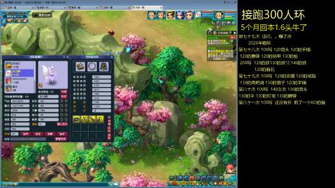 135飞升跑环平民的选择