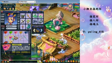 接命魂之玉 人环 宠环