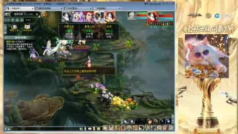 毒十女人欢迎踢馆