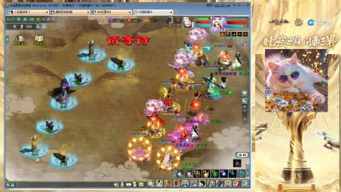 毒十女人欢迎踢馆